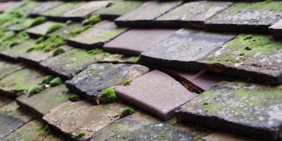 Hindford roof repair costs